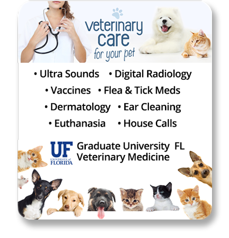 River Region Animal Hospital in Crystal River Florida, Cat, Dog  Veterinarian, Small Animal Medicine and Surgery - River Region Animal  Hospital